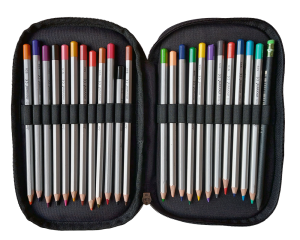 Jacbag Double Cover -Çift Kapaklı Kalem Kutusu Double Cover-Papatya